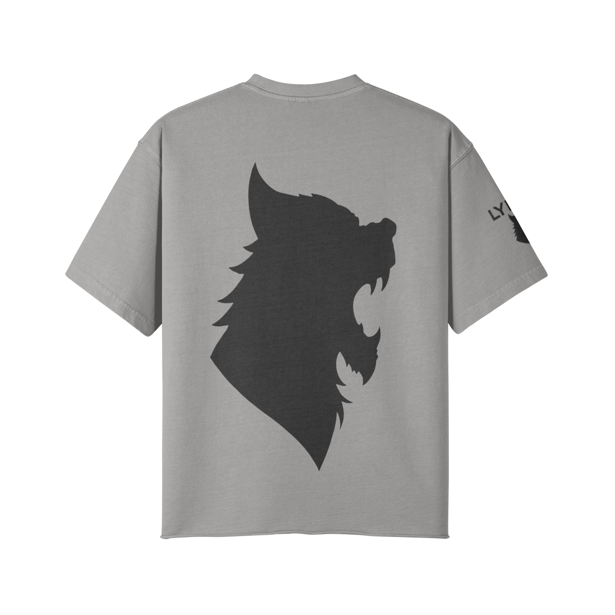 441818-Y26-Back Side