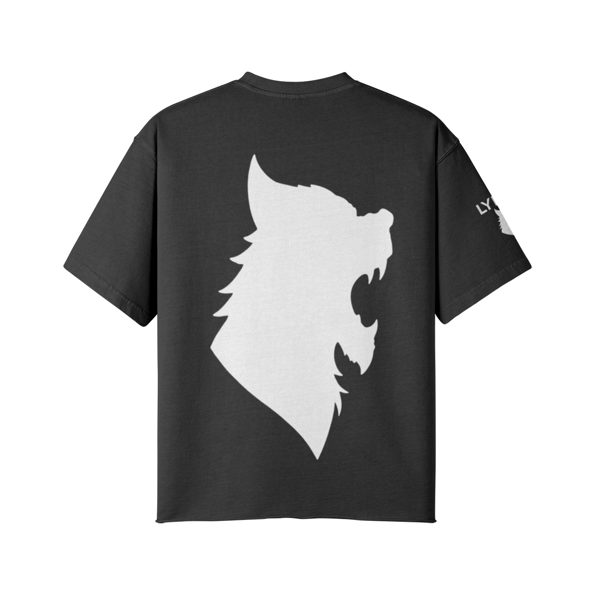 441816-Y21-Back Side